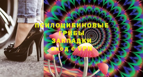 гидропоника Каменка