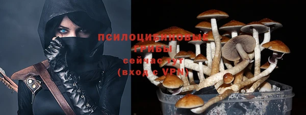 трава Каменногорск