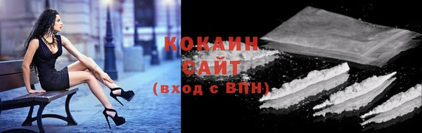 ПСИЛОЦИБИНОВЫЕ ГРИБЫ Инсар