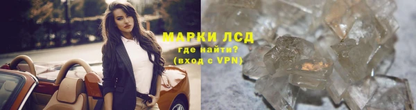 ПСИЛОЦИБИНОВЫЕ ГРИБЫ Инсар
