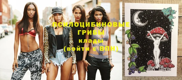 ПСИЛОЦИБИНОВЫЕ ГРИБЫ Инсар