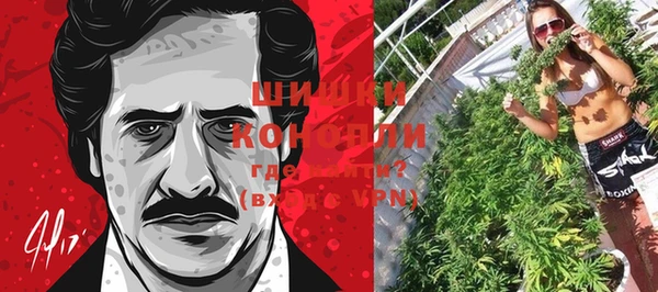 ПСИЛОЦИБИНОВЫЕ ГРИБЫ Инсар