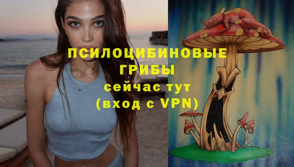 ПСИЛОЦИБИНОВЫЕ ГРИБЫ Инсар