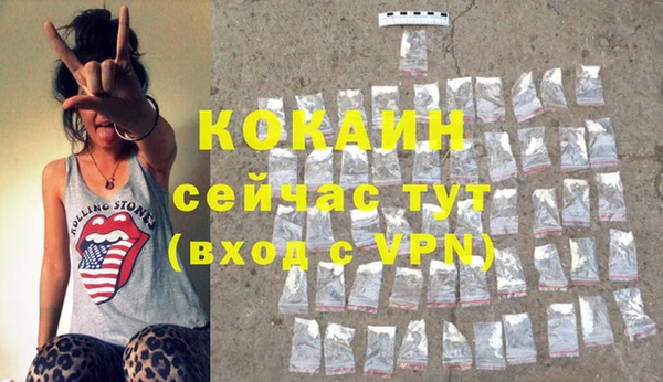 гидропоника Каменка